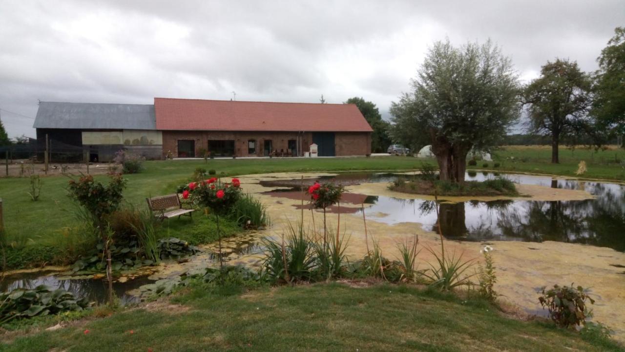 Coin Nature * Fromelles