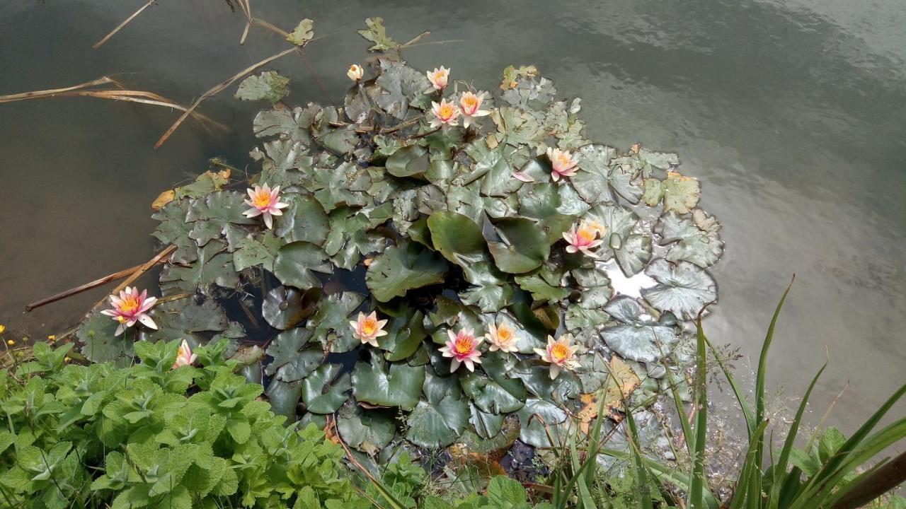 Couette-café Coin Nature *